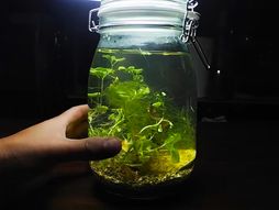 Eksperiment, voda, kanalizacija