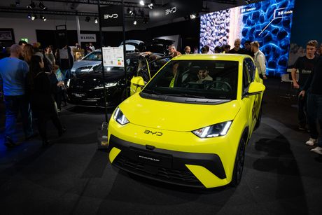 BYD Dolphin Surf