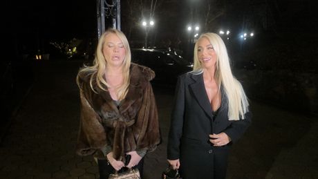 Poznati kod Žike Jakšića