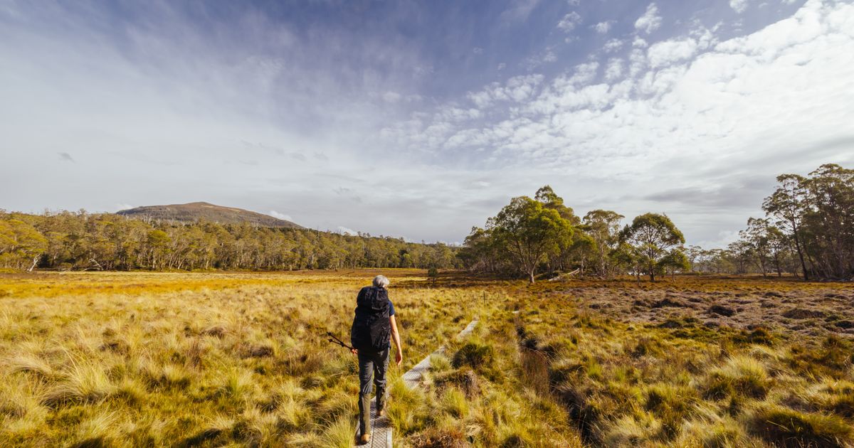 They Believed Perfect AI Advice: The Trip Ended Where Nothing Exists