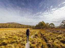 Tasmanija, prejzaži