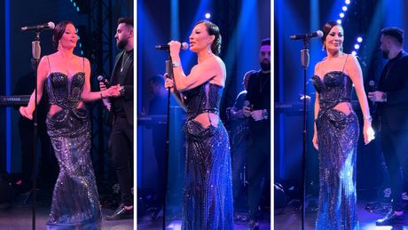 Svetlana Ceca Ražnatović