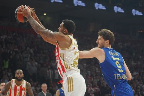 KK Crvena Zvezda - Makabi