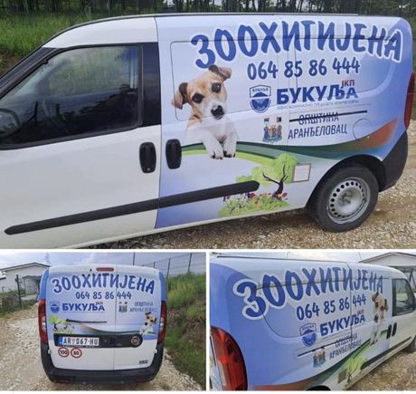 Zoohigijena, Aranđelovac