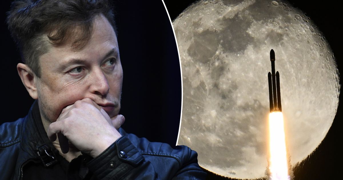 We will find the remains of ancient alien civilizations: Musk gathered all xAI employees and gave a strange speech