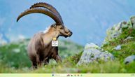 Windows ima skriveni "God Mode" folder koji skoro niko ne koristi, a izuzetno je koristan