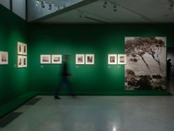 Muzej savremene umetnosti