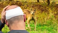 UZNEMIRUJUĆE Kengur brutalno pretukao čoveka: "Nasrnuo je na psa, a onda me udario u lice..."