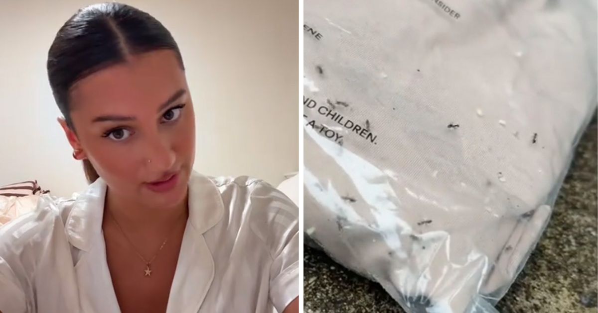 Ordered dresses, then experienced a nightmare: When she saw what was crawling on her things, she almost fainted!