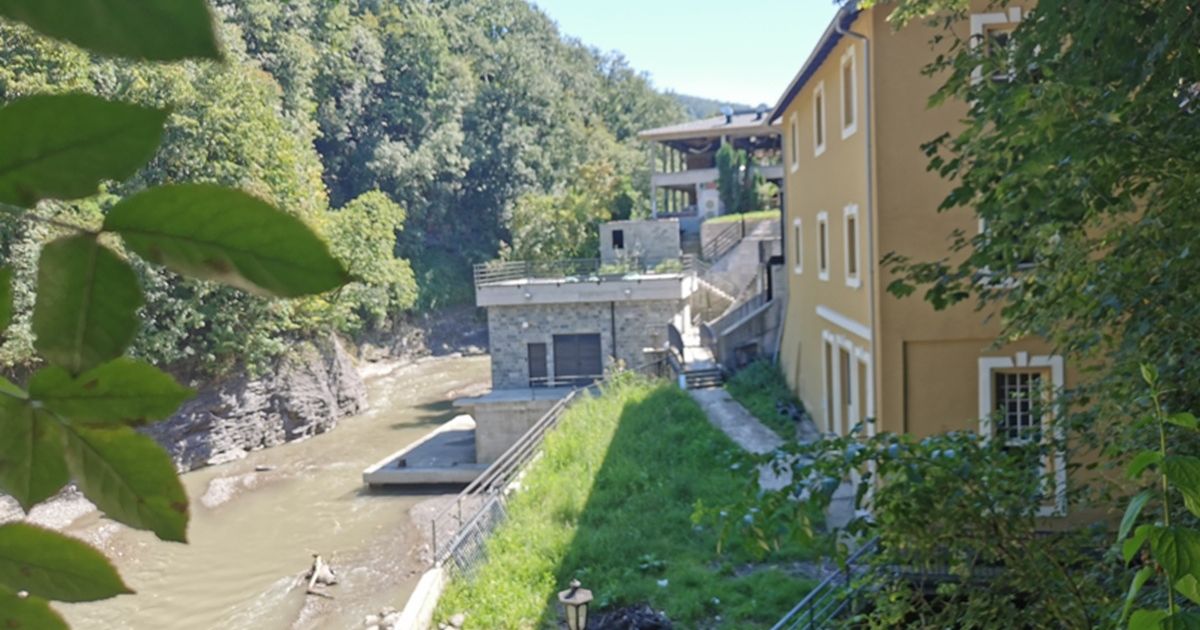 Unknown person poisons dogs in Ivanjica, throws dangerous poison into yards: Animal carcasses are then thrown into the river