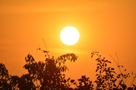 vremenska prognoza, sunce