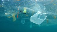 Naučnici upozoravaju: Masovno uklanjanje plastike može uništiti osnovu lanca ishrane u okeanu