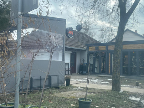 Žitište, masakr, Dijana Zlatić, Siniša Zlatić