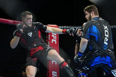 Evropsko prvenstvo u MMA