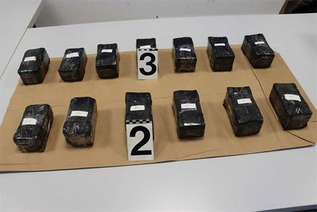 Zaplenjen novac granica