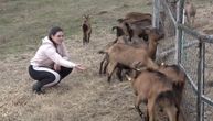 Njoj gradski život ne treba: Jovana je izabrala kozarstvo, a evo šta koze rade kada pokuša da ode od njih