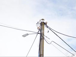 Elektromreža  Mionica, struja, bandera, sneg