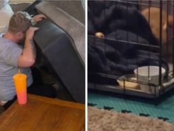 Kupio kauč od kolege s posla unutra našao nešto mnogo vrijednije nego što je platio