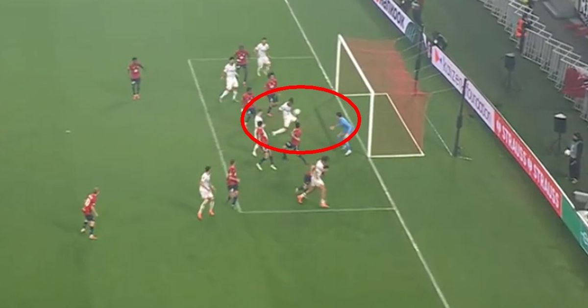 This is how Crvena zvezda took the lead in Lille: Uchena scored a reflex goal