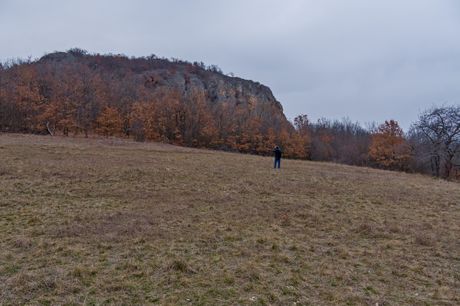 Noć buljine, Sokobanja, Rtanj, Bubo bubo