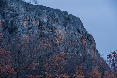 Noć buljine, Sokobanja, Rtanj, Bubo bubo