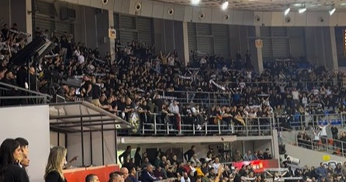 Grobari started the match with "Hours of Love", then sang a song mentioning Zvezda