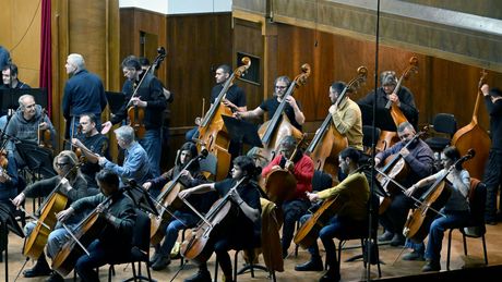 Luka Lopičić Beogradska filharmonija