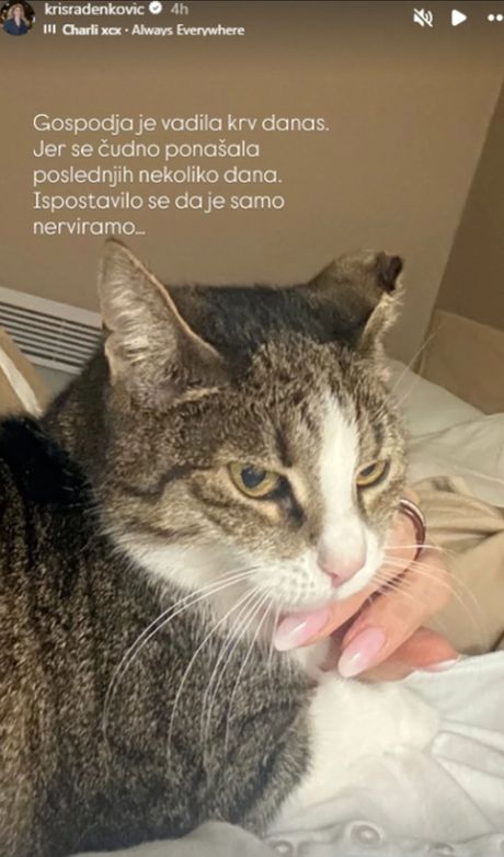 Objava Kristine Radenković