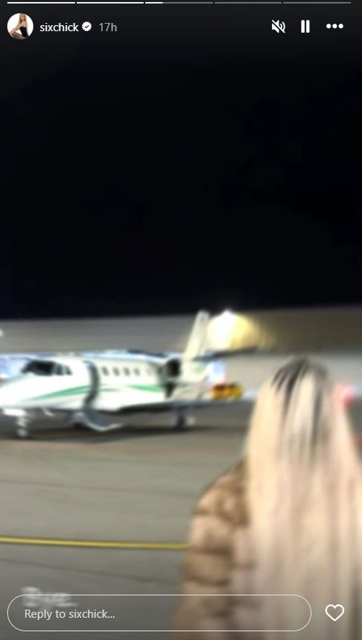 Ćerka Željka Mitrovića stigla u Beograd privatnim avionom: Pored nje komad od 150.000€, pa uslikala luks vilu