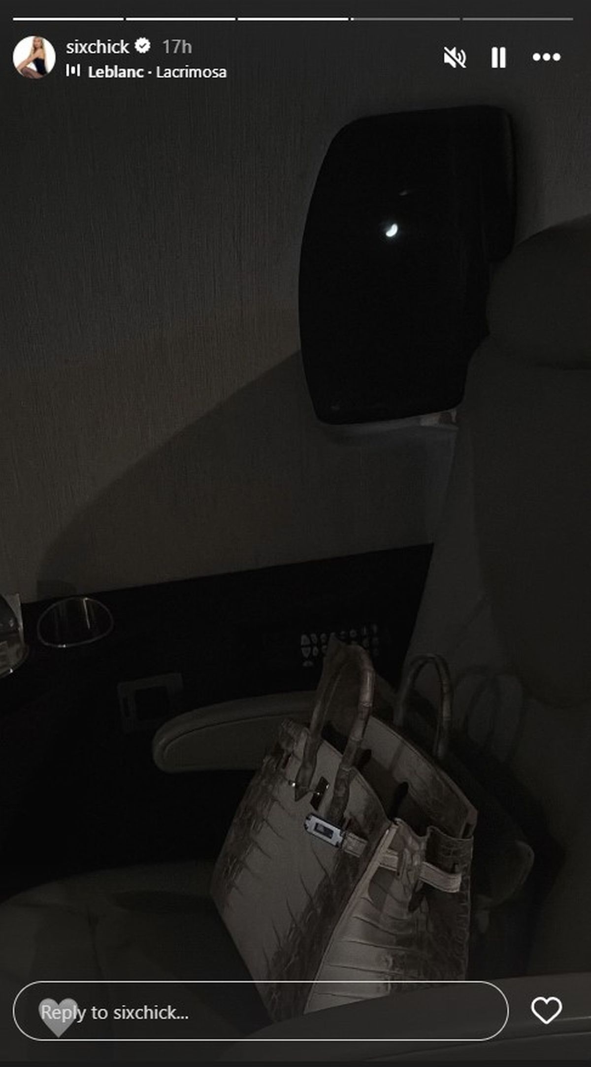 Ćerka Željka Mitrovića stigla u Beograd privatnim avionom: Pored nje komad od 150.000€, pa uslikala luks vilu