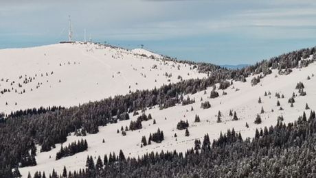 Kopaonik