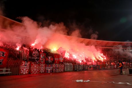 Navijači Crvene zvezde, Delije