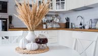 Tajna savršenog enterijera krije se u ovoj biljki: Izgleda luksuzno, traje godinama, a ne traži ni kap vode