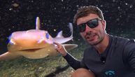 Spustio kameru na dno Balijskog mora, pa zanemeo: Iz tame se pojavilo neobično stvorenje s bodljama