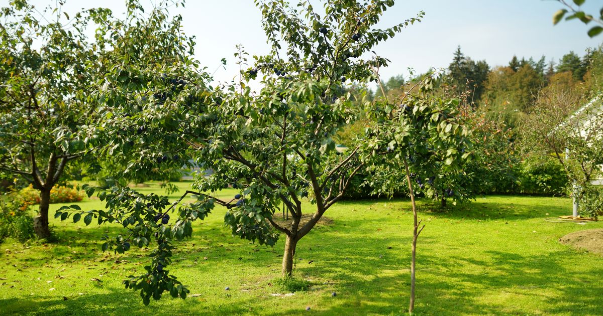 Napustili rodni kraj, pa se vratili i napravili čudo: Njihov proizvod osvaja svet