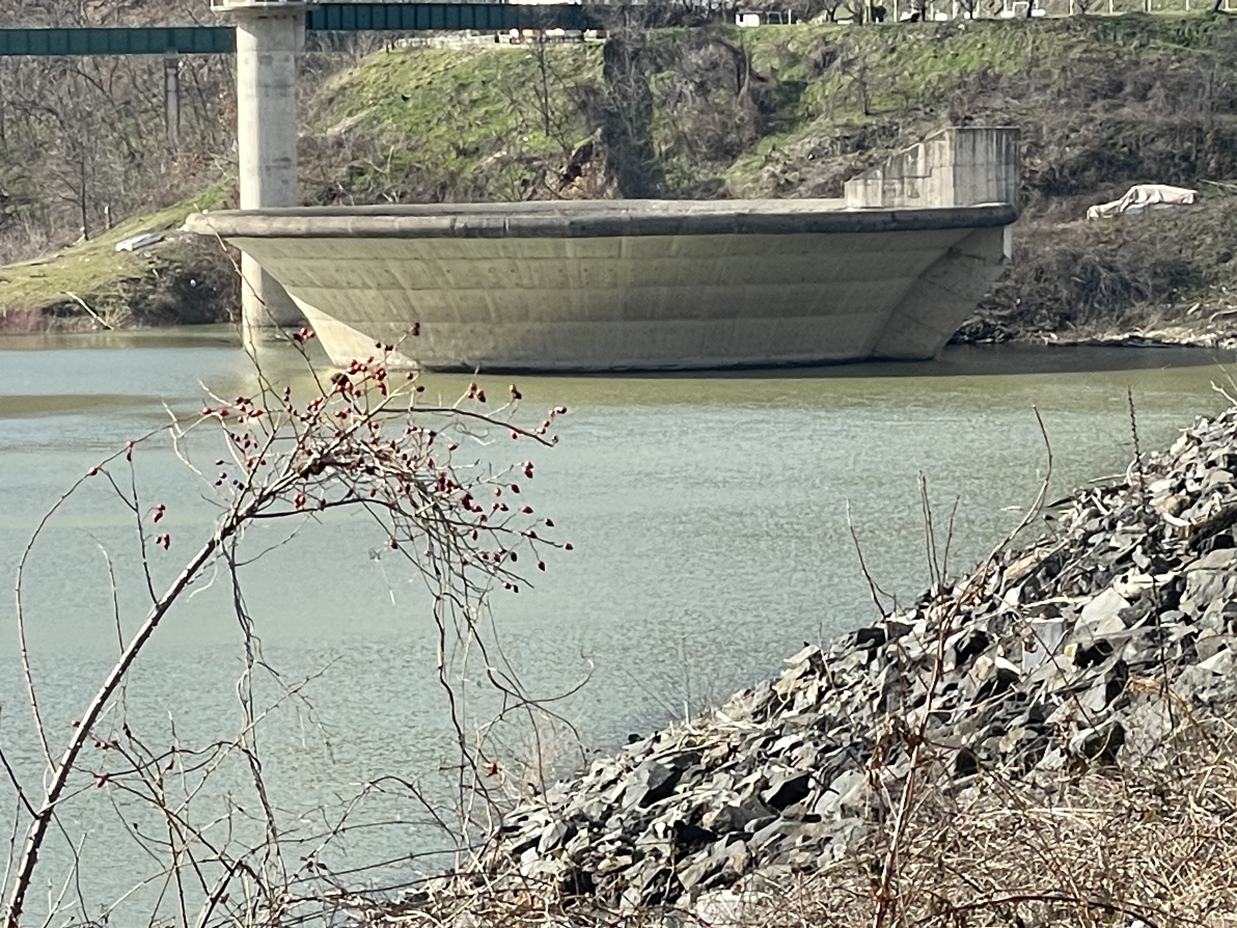 Prizori iz pakla između Ivanjice i Arilja: Nećete verovati šta pluta vodom!