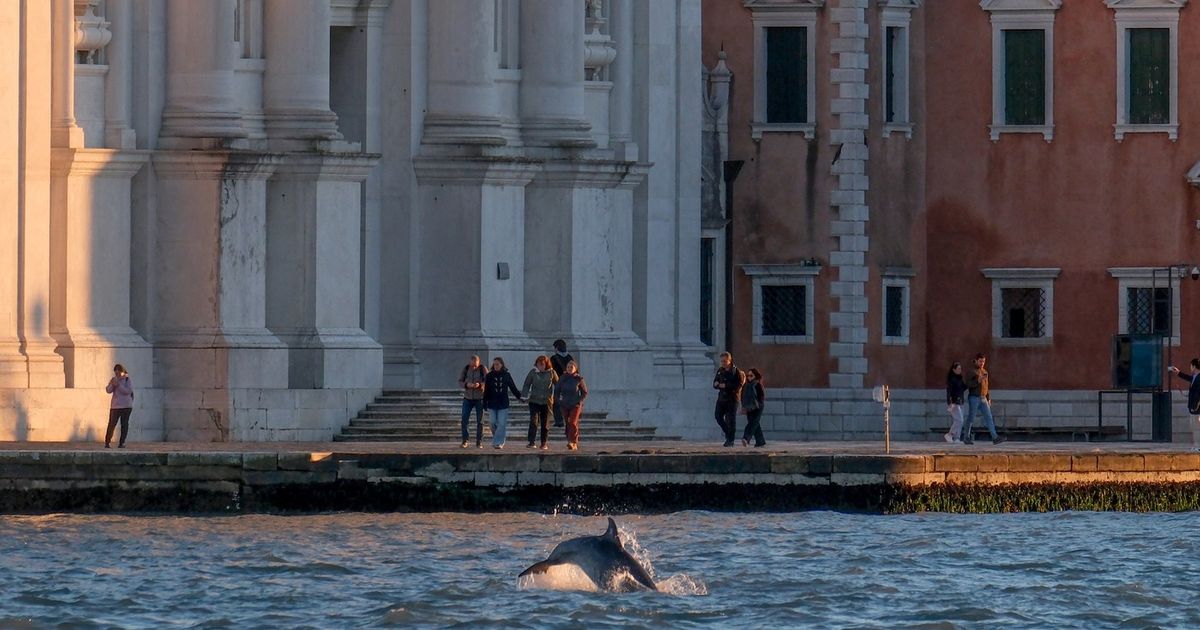 Nova pravila za turiste u Veneciji: Rezervišite tri dana unapred ili platite duplo!