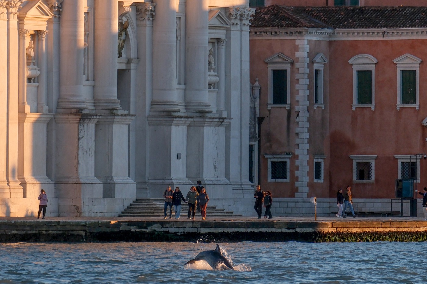 Nova pravila za turiste u Veneciji: Rezervišite tri dana unapred ili platite duplo!