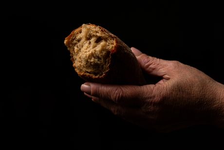 ruka, hleb