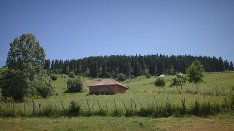 Gutavica Sjenička šuma