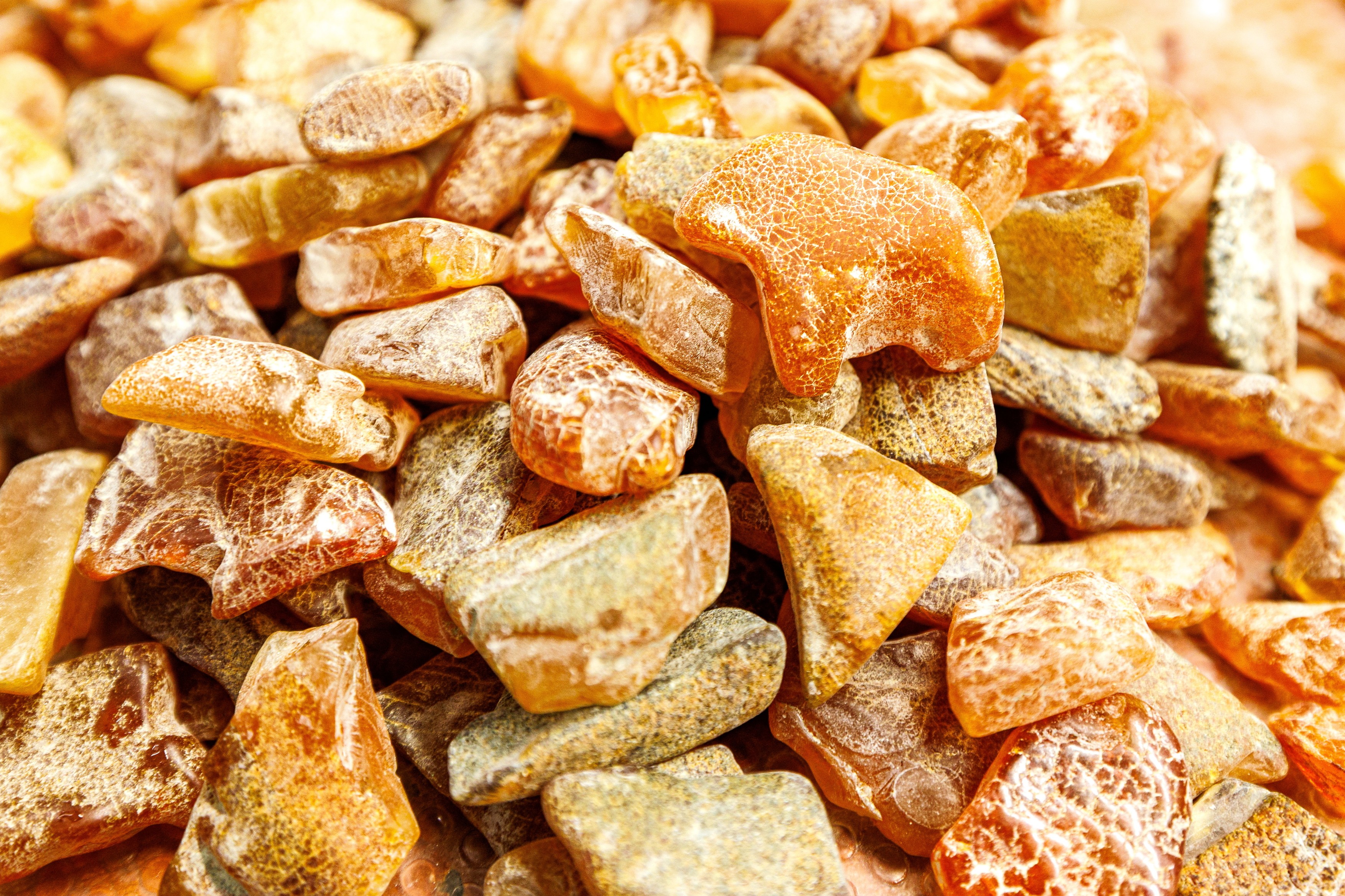 Pet čudnih smrti za 3 godine: Tragična priča o imućnoj i uticajnoj porodici ćilibarskih zanatlija u Evropi