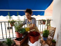 žena, terasa, biljke, začini