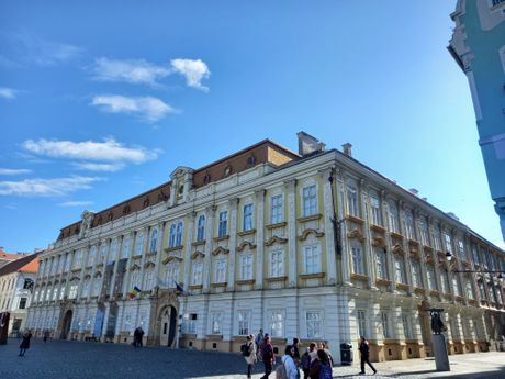 Temišvar muzej umetnosti