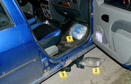 zaplenjena marihuana