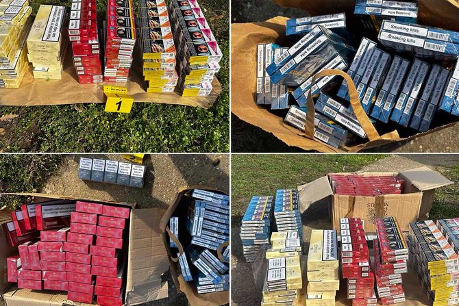 Privredni kriminal cigarete zaplena