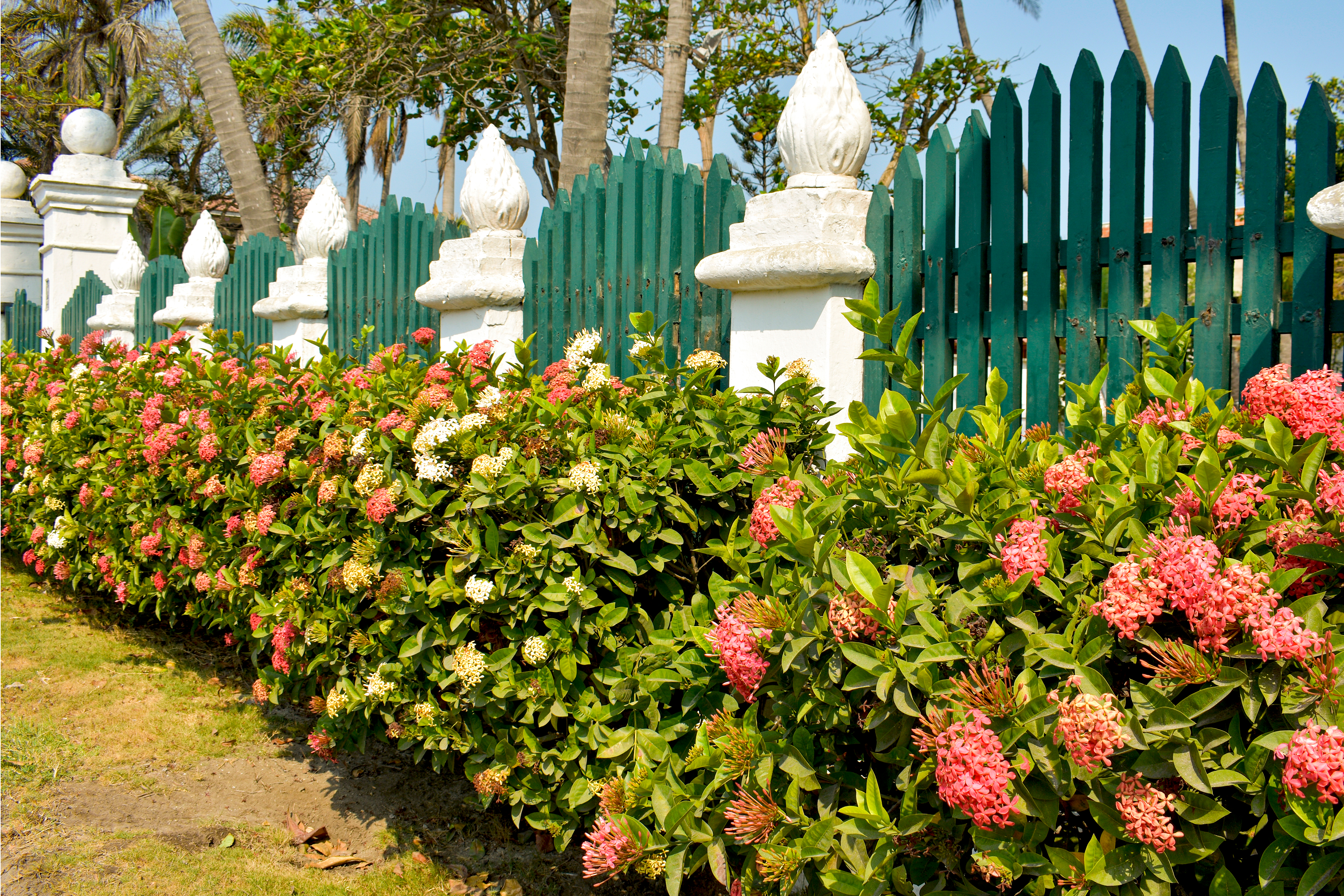 Bezbedne, trajne i lepe - betonske ograde