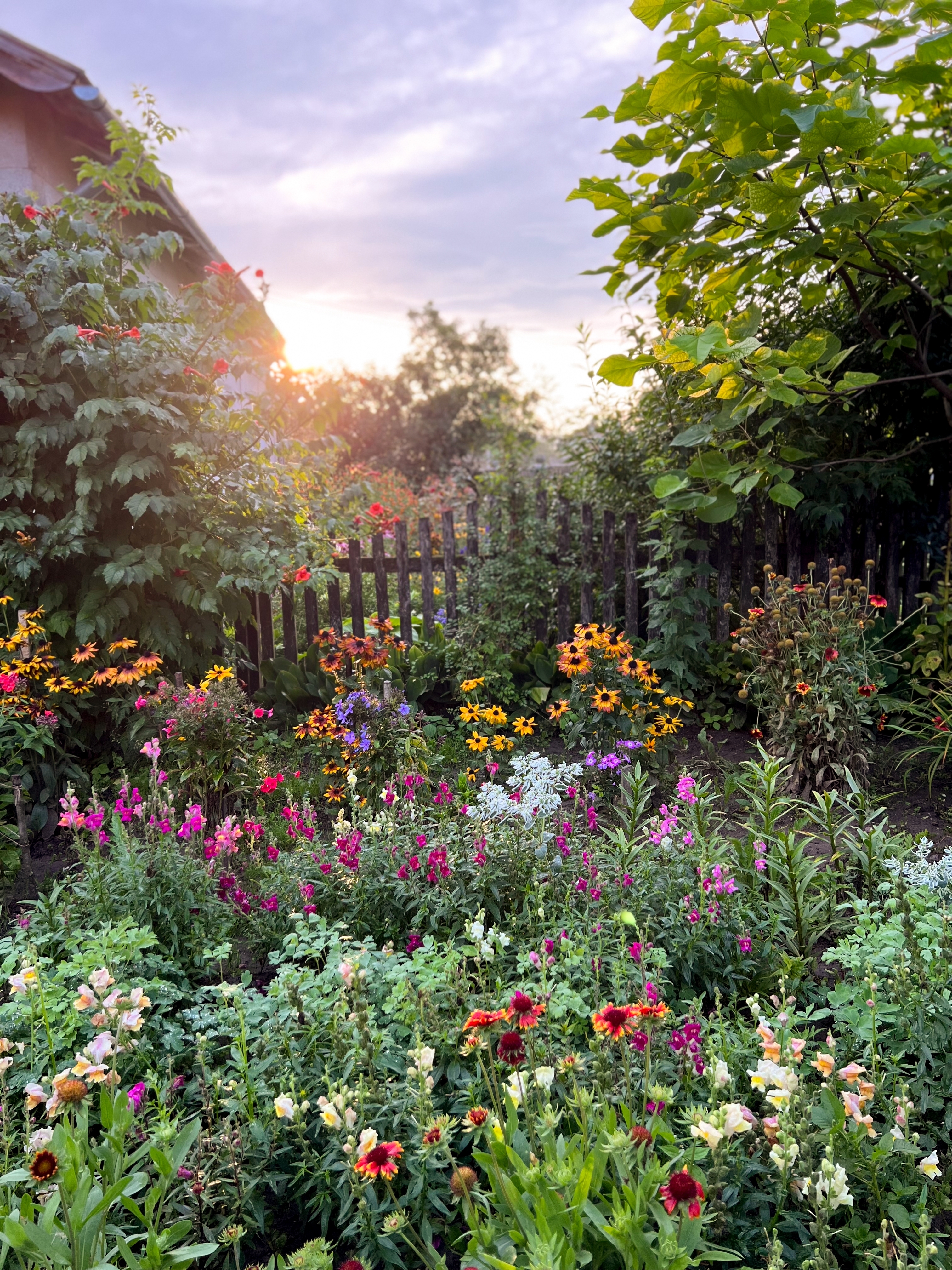 6 biljaka koje najjače mirišu kada padne mrak: Zasadite ih sada i uživajte u čaroliji prolećnih večeri