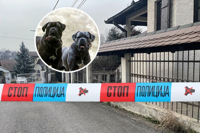 Voždovac, Beranska ulica, napad psa, kane korso, policijska traka