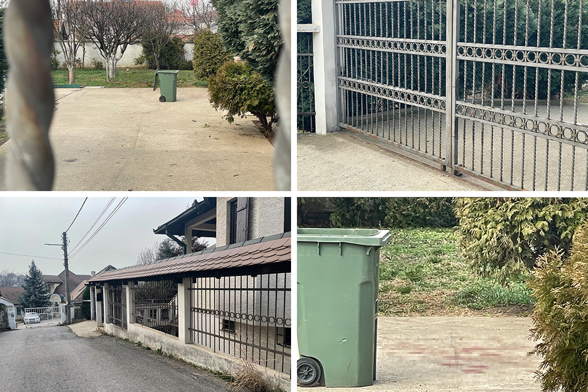 NOVI DETALJI UŽASA Prvi put se oglasila porodica žene koja je zadobila JEZIVE POVREDE u napadu psa na Voždovcu