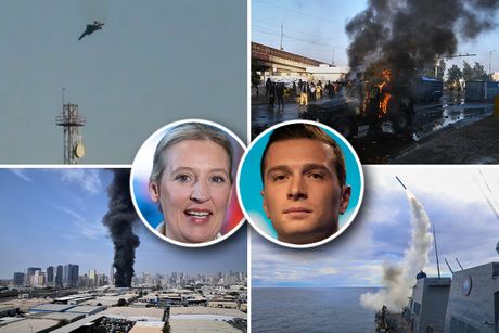 Alis Vajdel, Žordan Bardela